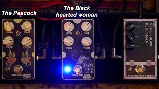 Video thumbnail for Démo-comparatif / Demo-comparative : Missing Link Audio - Peacock /  Black hearted woman by Le shack à pédales