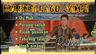 Download lagu Koleksi lagu jambi Radinal versi organ tunggal mp3