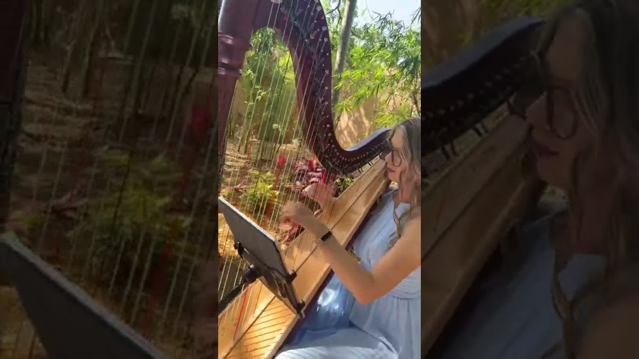 Promotional video thumbnail 12 for Harpist Karina