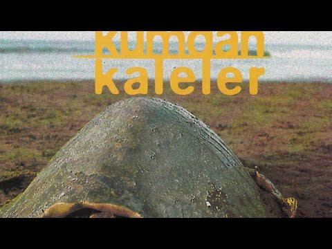 Kumdan Kaleler -  Sana Dair / Denize Doğru #adamüzik