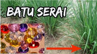 Download lagu Batu Serai | Serai Bebunga mp3