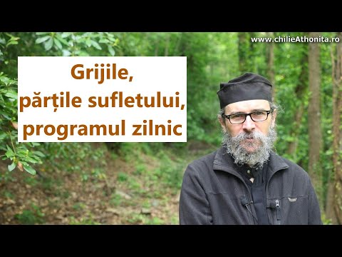 Grijile, părțile sufletului, programul zilnic - p. Teologos