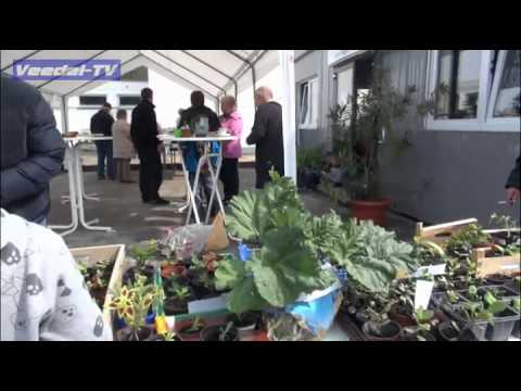 K-Heimersdorf-Pflanzenbörse 2012