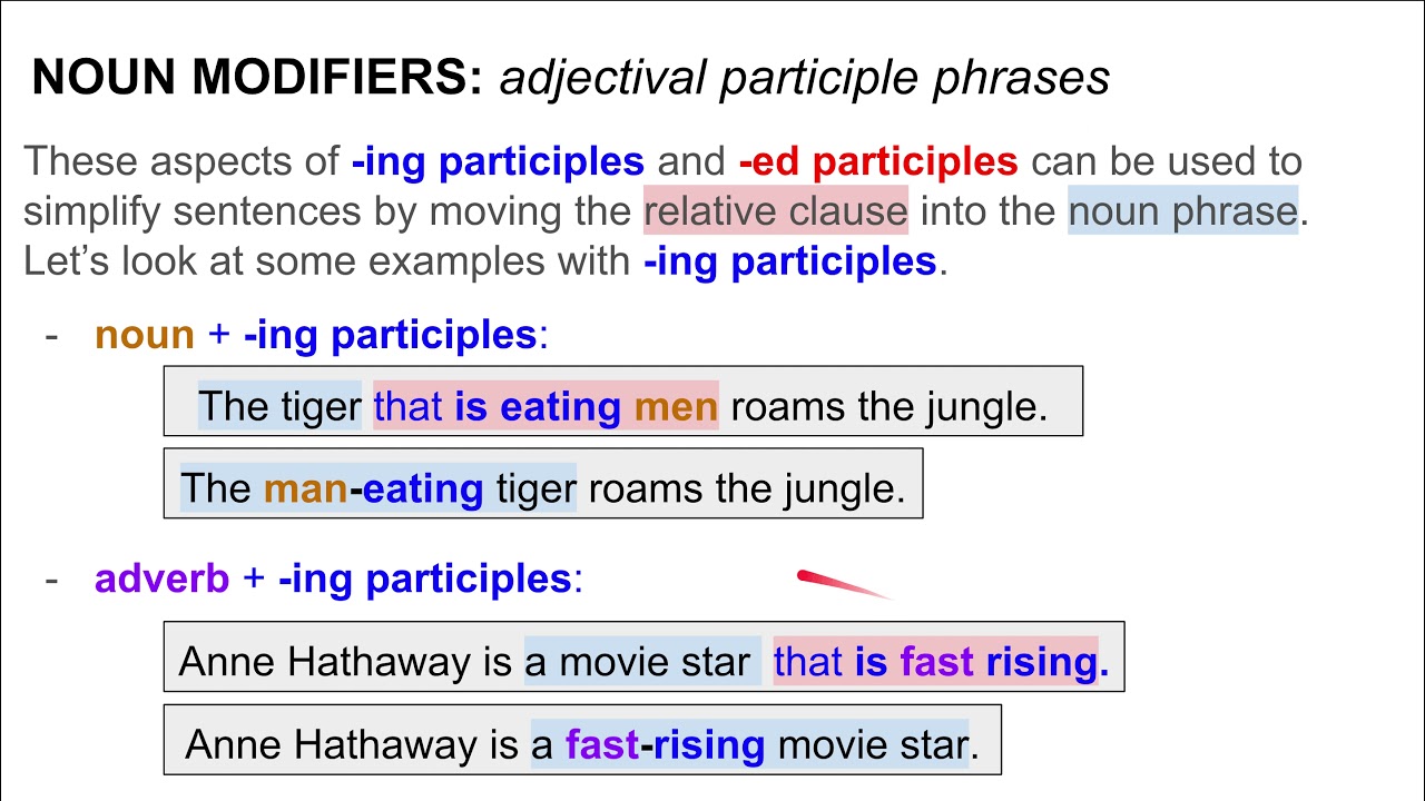COMPLEX NOUN PHRASES