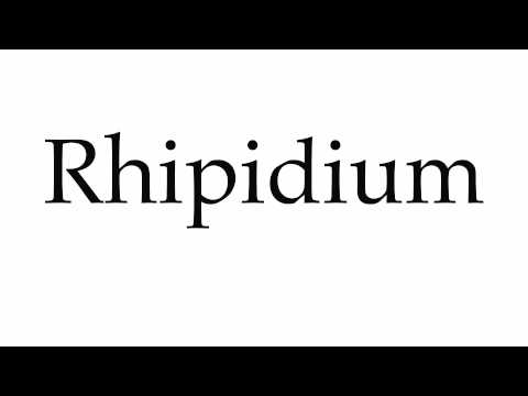 How to Pronounce Rhipidium