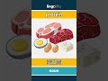 protein - 蛋白质 video thumbnail