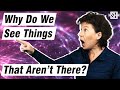 Why Do We See Things That Aren T There