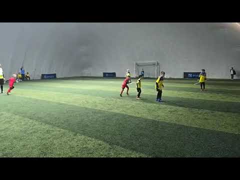 Video-Miniaturansicht