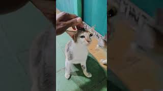 Download lagu pregnant mother Mamah Umin is about to give birth mp3