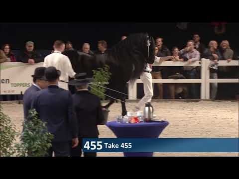 Hengstenkeuring 2018: Rubriek 3