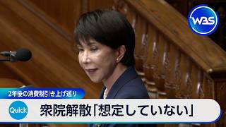衆院解散「想定していない」 2年後の消費税引き上げ巡り【WBS】