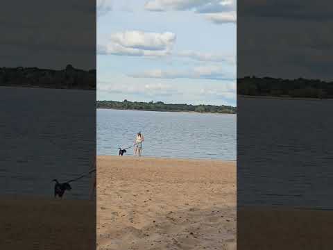 COLÓN, ENTRE RIOS | Playa Canina 🐶 #playa #petlover