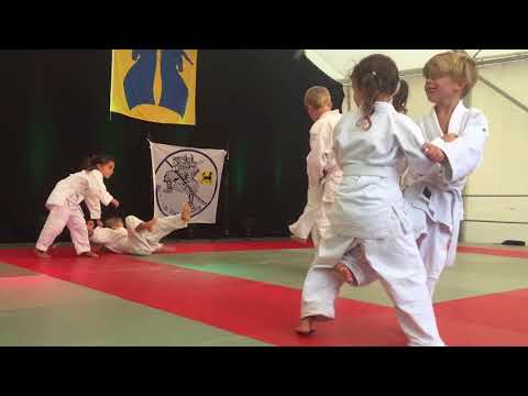 Kinder Judo