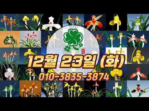 유튜브 썸네일