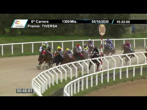 201005 c06 - ONTHEFIELD 1° - HIPODROMO LAS PIEDRAS