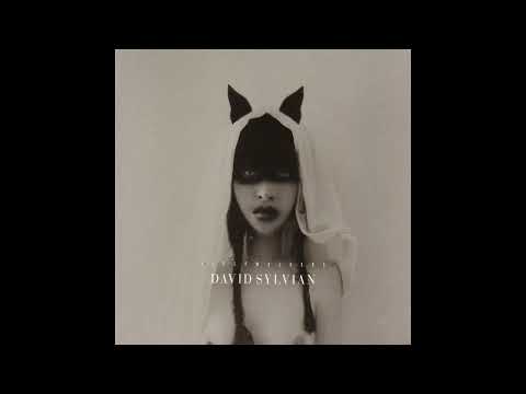 Video thumbnail for Trauma
