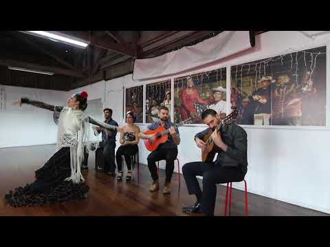 Flamenco Soul Gold Coast Promo