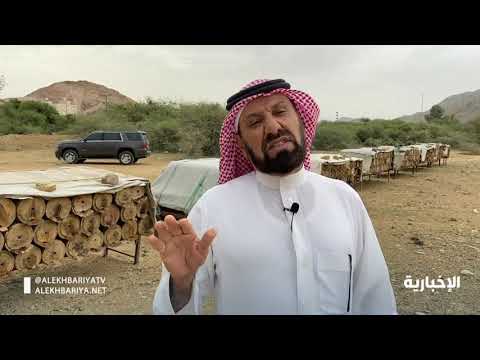 , title : 'النحال علي الشمراني قضى أكثر من 4 عقود في مهنة تربية النحل'