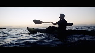 Flame - &quot;Swimming with Sharks&quot;