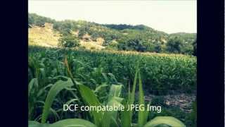 LOS TUCANES DE TIJUANA TEMPORADA EN LA SIRRA