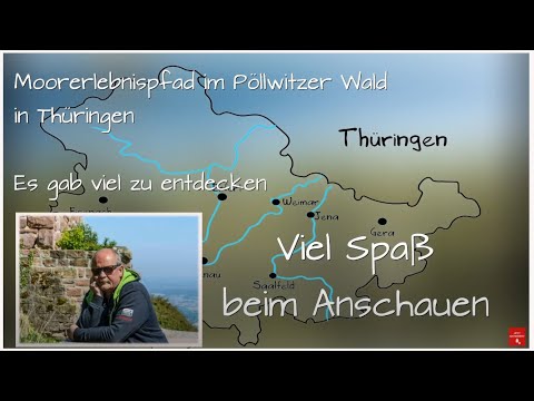 Moorerlebnispfad im Pöllwitzer Wald