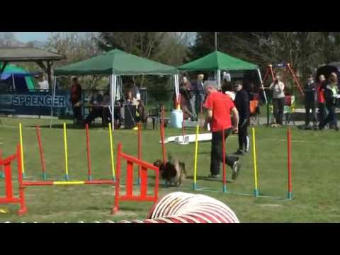 Agility-Turnier bei den Happy Teams: Jörg Kantel und Joey