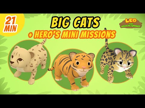 Big Cats - Junior Rangers and Hero's Animals Adventure | Leo the Wildlife Ranger | Kids Cartoons