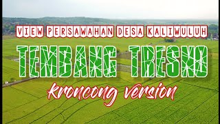 Download lagu TEMBANG TRESNO - padange suryo nanging peteng nyang mripatku - kroncong version #kroncong #sjrcf22s mp3