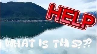 Something Was Splashing Beside Our Cruise Ship… What Was It?! 😳🛳️ #AlaskaCruise #okaytravel #help