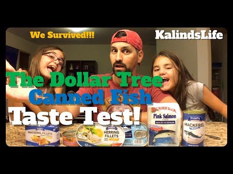 We Survived The Dollar Tree Canned Fish Taste Test!