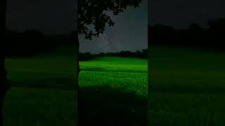 Download lagu The stars are not as good as you #shorts mp3 Download lagu The stars are not as good as you #shorts mp3