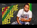 DJ BLING EXECUTIVE REGGAE VIBEZ
