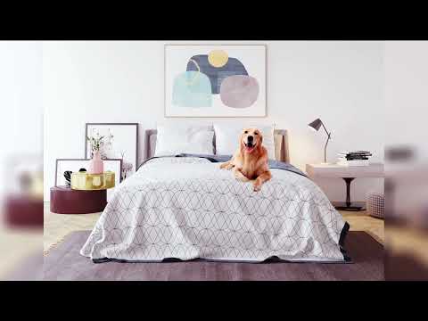 C4 CREATIVITY video.