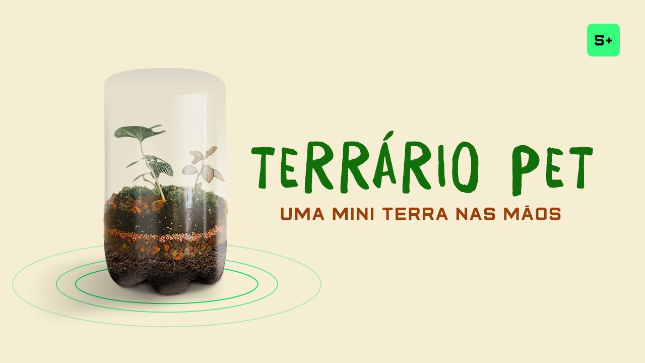 TERRÁRIO PET: Construindo um mini terrário - BS KIDS Futuro Sustentável | 24/05