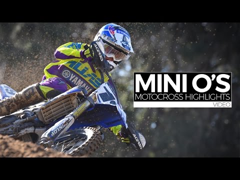 2015 Mini O's Motocross Highlights (MXPTV)