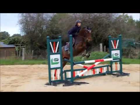 Daisy Blue – Jument PS – Née en 2015 – Env.1m57 – Par Puit d’Or & Vick Mome (Khalkevi)