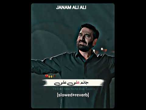 JANUM ALI ALI (slowed+reverb)|| NADEEM SARWAR NOHA 1445