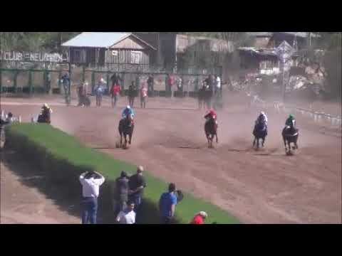 carrera 4 ganador amiguito