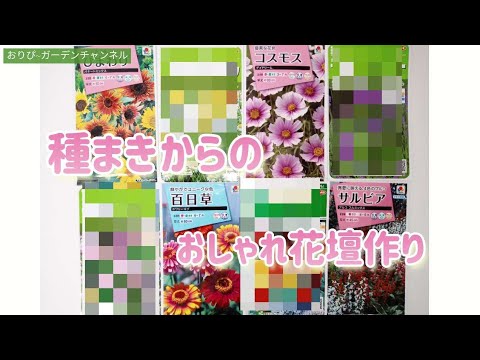 コスモスの種の育て方は？特別な注意が必要ですか?  庭園