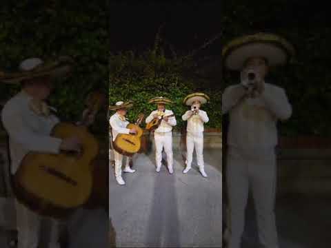 DEYANIRA CUMPLEAÑOS LAS MAÑANITAS MARIACHI