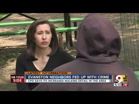 Evanston Patch Crime