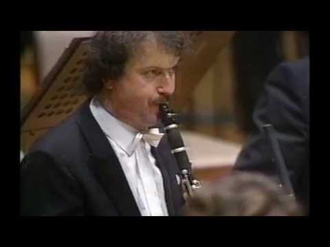 Alois Brandhofer - Clarinet Orchestral Excerpt