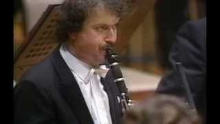 Alois Brandhofer - Clarinet Orchestral Excerpt