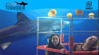 DIA 2 Expo Tiburon268