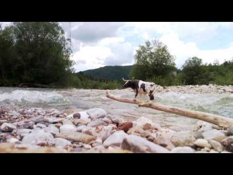 COPY007 - Debal Sommer - Dodo (Video Cut)