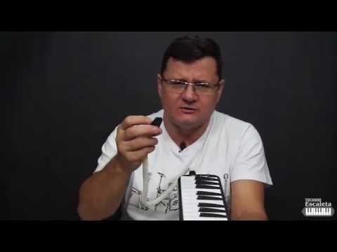 Aula 08 - Posição dos dedos na Escaleta - Curso de Escaleta (10 Aulas Grátis)