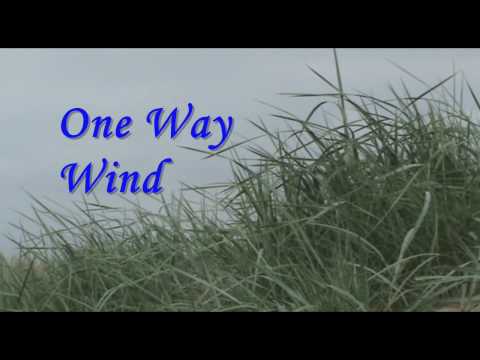 One Way Wind - Dave Williams