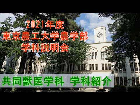 東京農工大学農学部共同獣医学科 2021学科説明会  学科長挨拶