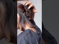 Eren Yeager Hair Style