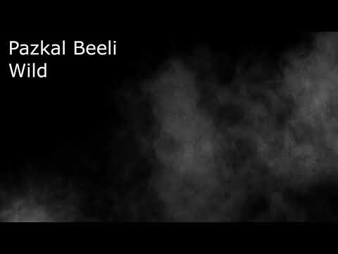 Pazkal Beeli - Wild (Original Mix)